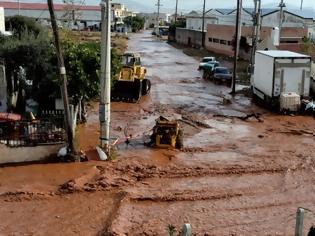 Φωτογραφία για …στην λάθος χώρα, στην λάθος Αριστερά, στην λάθος Δούρου!