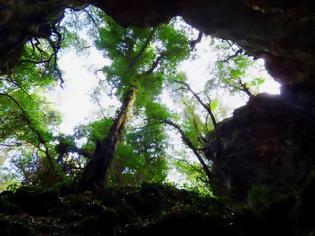Φωτογραφία για Η «Σπηλιά του γερ Αλέξη» στο Βελινοδάσος Ξηρομέρου