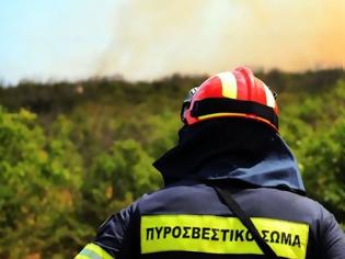 Φωτογραφία για Κρήτη: Οι εθελοντές πυροσβέστες γιορτάζουν και ενημερώνουν