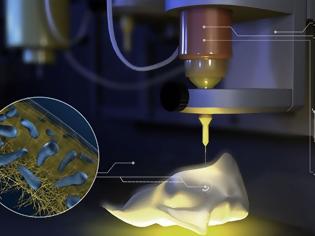 Φωτογραφία για 3D printer με μελάνι από βακτήρια παράγει «ζωντανά» υλικά