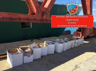 Φωτογραφία για Ηράκλειο: Λιμενικοί κατάσχεσαν εκατοντάδες κιλά μπακαλιάρου και τα έδωσαν σε ιδρύματα