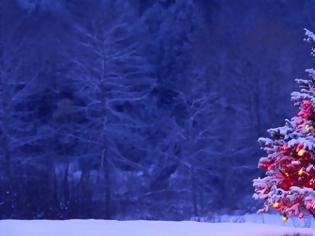 Φωτογραφία για Ο Πειραιάς άναψε το χριστουγεννιάτικο του δέντρο