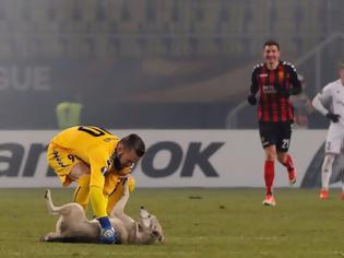 Φωτογραφία για Αυτός ο σκύλος διέκοψε αγώνα ποδοσφαίρου επειδή ήθελε χάδια