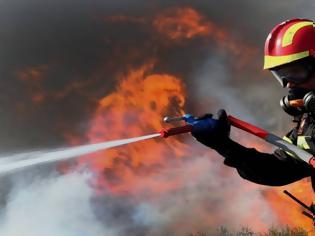 Φωτογραφία για Πυροσβέστες Στερεάς Ελλάδας: Ο κόσμος χάνεται και η ΕΑΚΠ... χτενίζεται