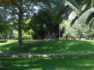 Φωτογραφία για Πάρκο 46 στρ. στον Ελαιώνα σκοπεύει να δημιουργήσει ο δήμος Αθηναίων