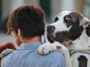 Φωτογραφία για Η άσχημη μυρωδιά του σκύλου σου είναι φυσιολογική; Πότε πρέπει ν’ ανησυχήσεις!
