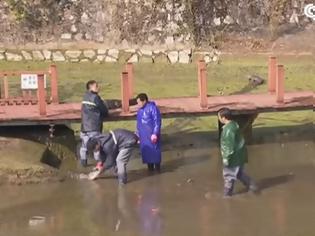 Φωτογραφία για Κίνα: 13.000 κινεζικοί αλιγάτορες μεταφέρθηκαν σε ειδικούς χώρους εν όψει χειμέριας νάρκης