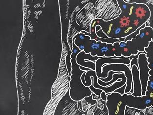 Φωτογραφία για Τι είναι το μικροβίωμα και πώς επηρεάζει την υγεία μας;