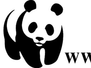 Φωτογραφία για WWF: Ελληνικό δίχτυ προστασίας της μεσογειακής φύσης