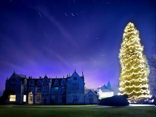 Φωτογραφία για Το μεγαλύτερο φυσικό χριστουγεννιάτικο δέντρο στον κόσμο ύψους 33 μέτρων!