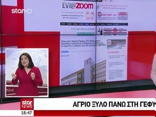 Φωτογραφία για Υψηλή Γέφυρα Χαλκίδας: Σάλος για τον άγριο ξυλοδαρμό υπαλλήλου από οδηγό αυτοκινήτου - Δείτε το ΒΙΝΤΕΟ από τo δελτίο ειδήσεων του STAR