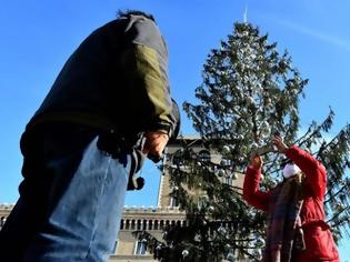Φωτογραφία για Ρώμη: Αποζημίωση ζητά ο δήμος για το… μαδημένο Χριστουγεννιάτικο δέντρο