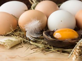 Φωτογραφία για Ολόκληρο αυγό vs ασπράδι: Δείτε τι συνιστούν οι επιστήμονες