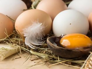 Φωτογραφία για Ολόκληρο αυγό vs ασπράδι: Δείτε τι συνιστούν οι επιστήμονες