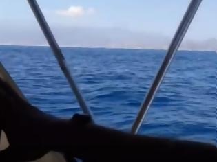 Φωτογραφία για Καπετάνιος στη Κρήτη τραβούσε αυτό το βίντεο και «έπιασε» μια σκηνή που θα του μείνει αξέχαστη!