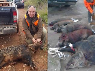Φωτογραφία για Ο «κυνηγός» Θανάσης Τάρτης σκότωσε αγριογούρουνα και τα πόσταρε νεκρά στο facebook - «Η σημερινή μας σοδειά...» - «Είσαι σκ@τ@ψυχος...» (ΦΩΤΟ)