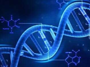 Φωτογραφία για Τo DNA των Ελλήνων και των άλλων Βαλκανικών λαών