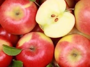 Φωτογραφία για 7 λόγοι να φας ένα μήλο σήμερα! Τους ήξερες;