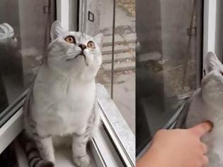 Φωτογραφία για Αυτή είναι η πιο σοβαρή γάτα του κόσμου! Δείτε το απίστευτο βίντεο
