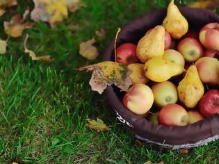 Φωτογραφία για Γλυκά με μήλα και αχλάδια