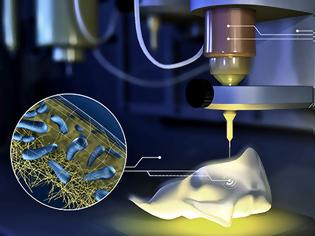 Φωτογραφία για 3D εκτυπωτής χρησιμοποιεί μελάνι από βακτήρια