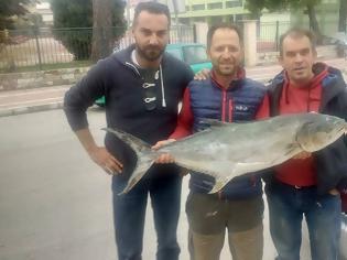 Φωτογραφία για Βονιτσάνος σήκωσε ψάρι 13 κιλά στη Λευκάδα (ΦΩΤΟ)