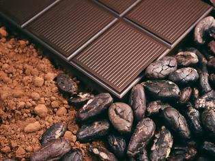 Φωτογραφία για Είδος προς εξαφάνιση θα είναι η σοκολάτα σε 40 χρόνια προειδοποιούν οι επιστήμονες!