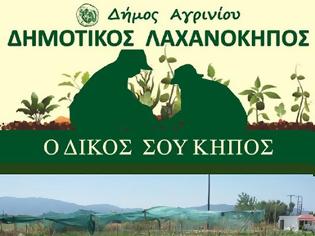 Φωτογραφία για Ανοικτός για 4η συνεχή χρονιά ο Δημοτικός Λαχανόκηπος στο Γιαννούζι Αγρινίου