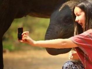 Φωτογραφία για Προσπάθησε να βγάλει selfie με έναν ελέφαντα και τελικά ποδοπατήθηκε από αυτόν...