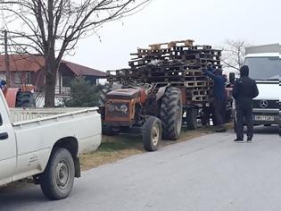 Φωτογραφία για Ανήλικος άρπαξε την παραγωγή 17 αγροτών στην Κορινθία