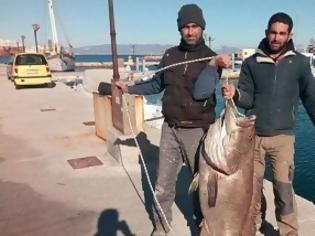 Φωτογραφία για Έδωσαν μάχη: 63 κιλά ψάρι έπιασαν στη Σύρο! [video]