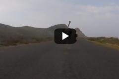 Θυμωμένη στρουθοκάμηλος τρέχει με όλη της τη δύναμη πίσω από δύο ποδηλάτες[video]