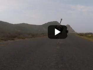 Φωτογραφία για Θυμωμένη στρουθοκάμηλος τρέχει με όλη της τη δύναμη πίσω από δύο ποδηλάτες[video]