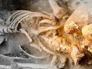 Φωτογραφία για Ερευνητές ανακάλυψαν ένα άγνωστο είδος που εκτρέφονταν με αρχαίους ανθρώπους