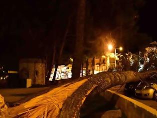 Φωτογραφία για Θυελλώδεις άνεμοι ξερίζωσαν δέντρα στο Ναύπλιο (βίντεο)