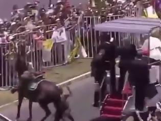 Φωτογραφία για Ο Πάπας σταμάτησε το popemobile για να βοηθήσει έφιππη αστυνομικό που έπεσε από το άλογο