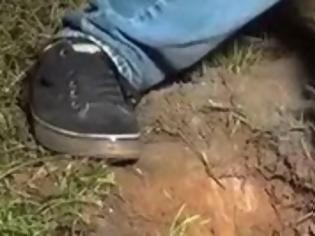 Φωτογραφία για ΑΠΙΣΤΕΥΤΟ! Γέμισε μυρμηγκοφωλιά με αλουμίνιο και δείτε τι προέκυψε! [video]
