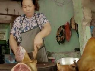 Φωτογραφία για ΦΡΙΚΙΑΣΤΙΚΕΣ εικόνες από τη βιομηχανία σκυλίσιου κρέατος στο Βιετνάμ...[video]