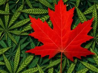 Φωτογραφία για Καναδάς: Η χώρα στην οποία «βασιλεύει» η κάνναβη