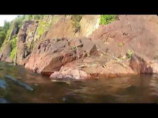 Φωτογραφία για Ιπτάμενος κροκόδειλος εναντίον κολυμβητή! [video]