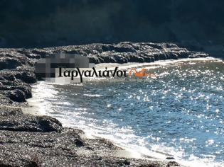 Φωτογραφία για Μακάβριο εύρημα στο Βρωμονέρι Γαργαλιάνων – Η θάλασσα ξέβρασε διαμελισμένο πτώμα