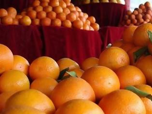 Φωτογραφία για Πειραιάς: Δέσμευση 10,7 τόνων φρούτων αγνώστου προελεύσεως