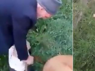 Φωτογραφία για Τούρκος ακινητοποιεί αδέσποτο σκύλο και τον βιάζει έξω από τζαμί [Βίντεο]