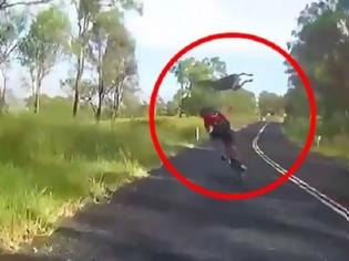 Φωτογραφία για Οι δυσκολίες ενός ποδηλάτη στην Αυστραλία: Το καγκουρό έχει πάντα προτεραιότητα! [video]