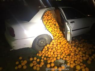 Φωτογραφία για Έκλεψαν 4 τόνους πορτοκάλια και τα φόρτωσαν σε Ι.Χ.!