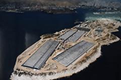 Ψυτάλλεια - Προειδοποιήσεις για δυναμικές κινητοποιήσεις