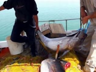 Φωτογραφία για Τόνος με ραδιενέργεια στην Καλιφόρνια