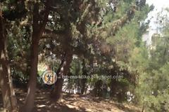 Αλλη μια αυτοκτονία συγκλονίζει σήμερα την ελληνική κοινωνία - Επίθεση της οικογένειας του αυτόχειρα σε δημοσιογράφους