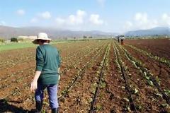 Νέο επωφελές προιόν για τους αγρότες