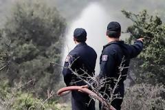 Στάχτη 30 στρέμματα δάσους από την καταστροφική πυρκαγιά στη Σούδα